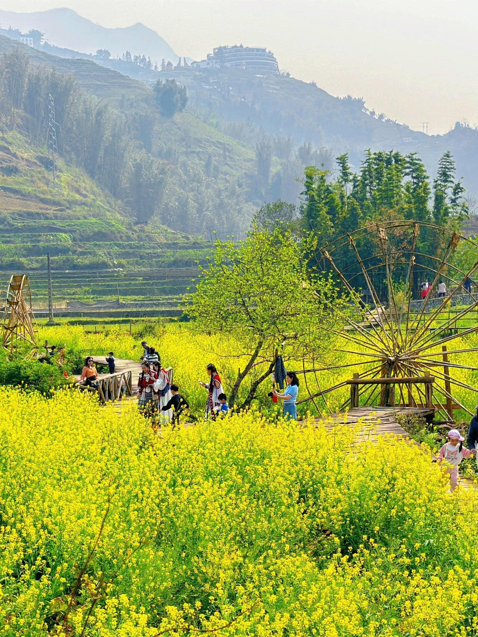 sapa-spring-2024-viettrendtour
