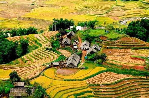 Rice terraces and traditional village houses in Sapa and Ha Giang, Vietnam.