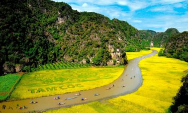 Tamu Valley rice paddies and river scene showcasing lush greenery and vibrant yellow fields in Ninh.