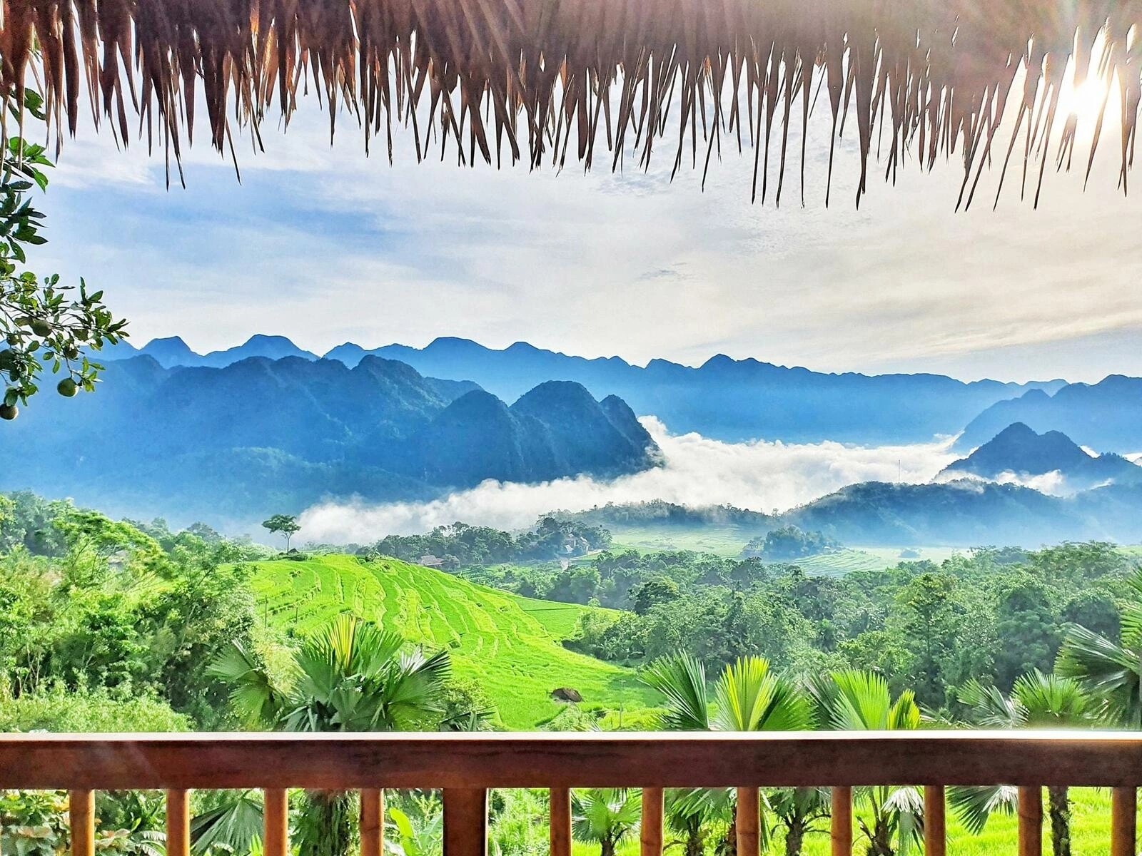 Vietnam mountain landscape with lush greenery and misty peaks.