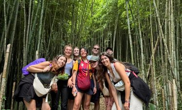 A group of travelers exploring lush Sapa bamboo forest, enjoying nature and adventure.