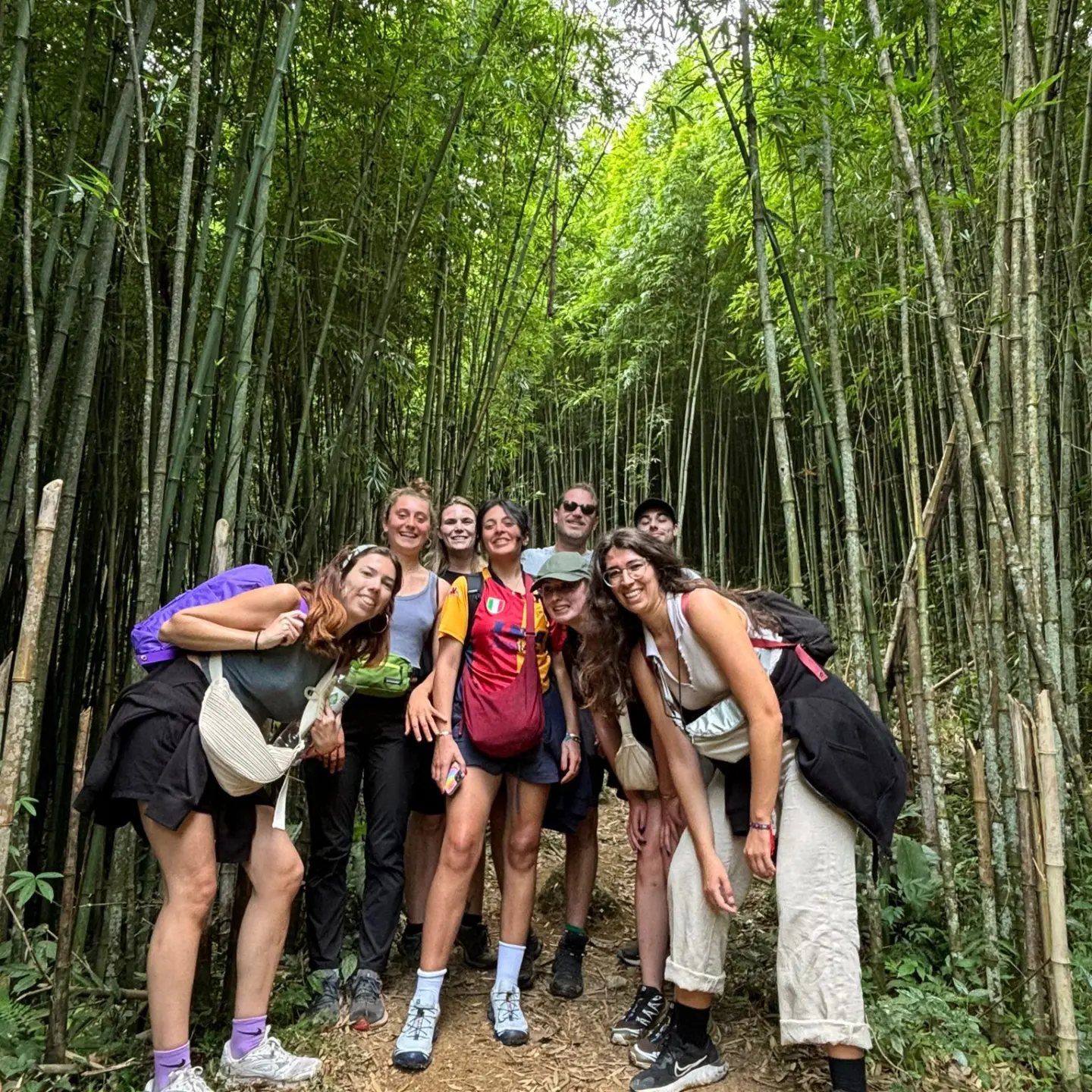 sapa-bamboo-forest-trekking-group