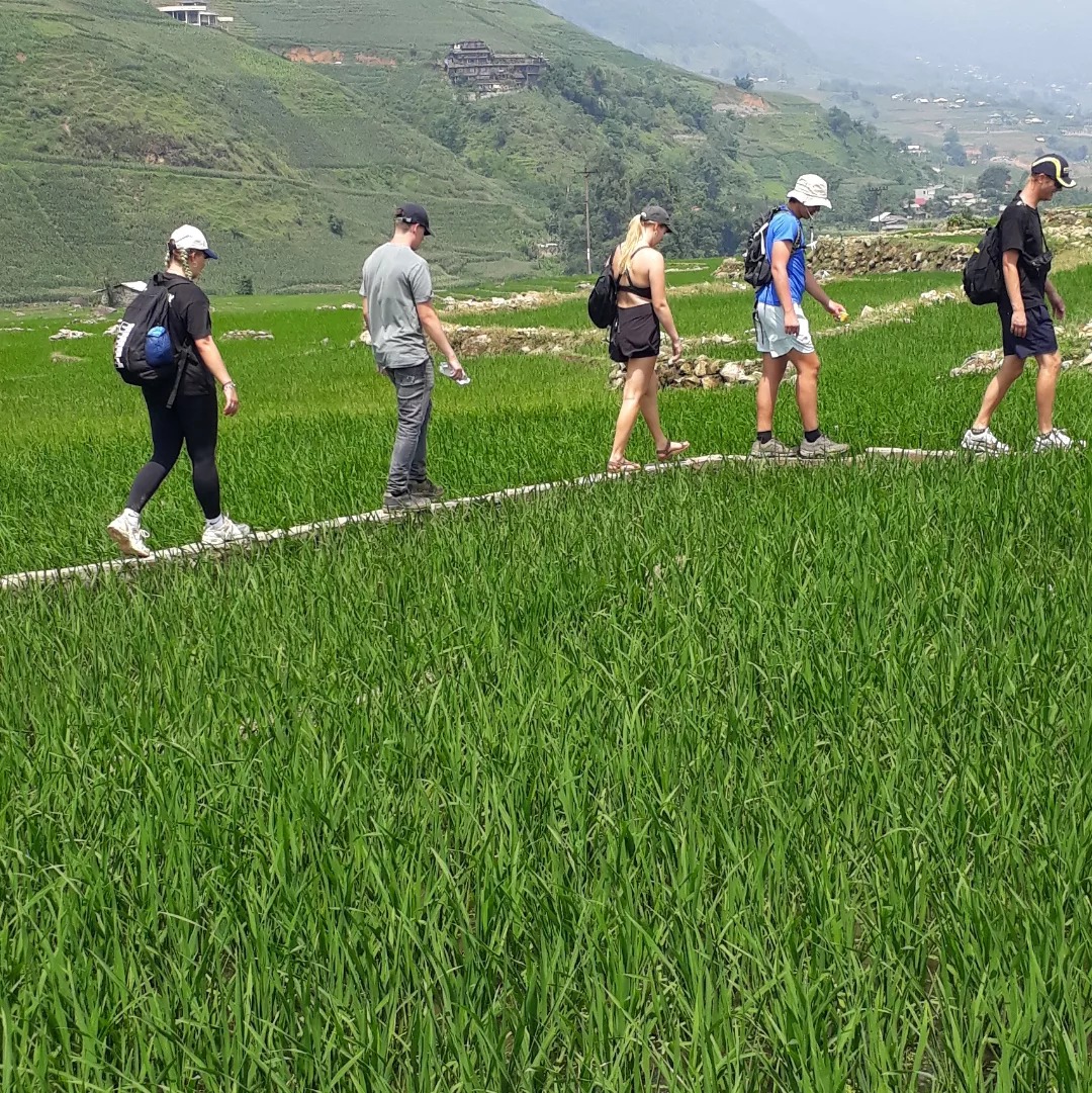 sapa-trekking-group-tour-rice-fields-viettrendtour