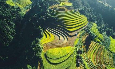 Aerial view of lush terraced rice paddies cascading down the mountainside in Sapa, showcasing stunni.