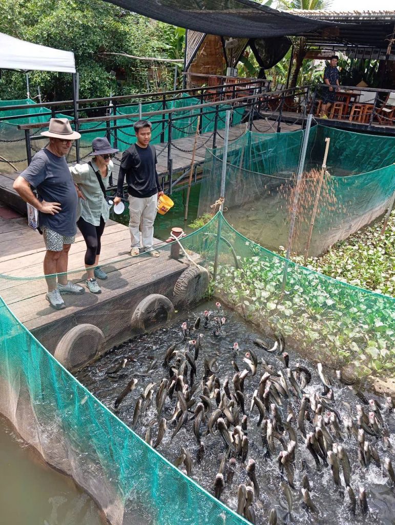Koi fish farm experience with visitors observing vibrant fish in a serene setting.