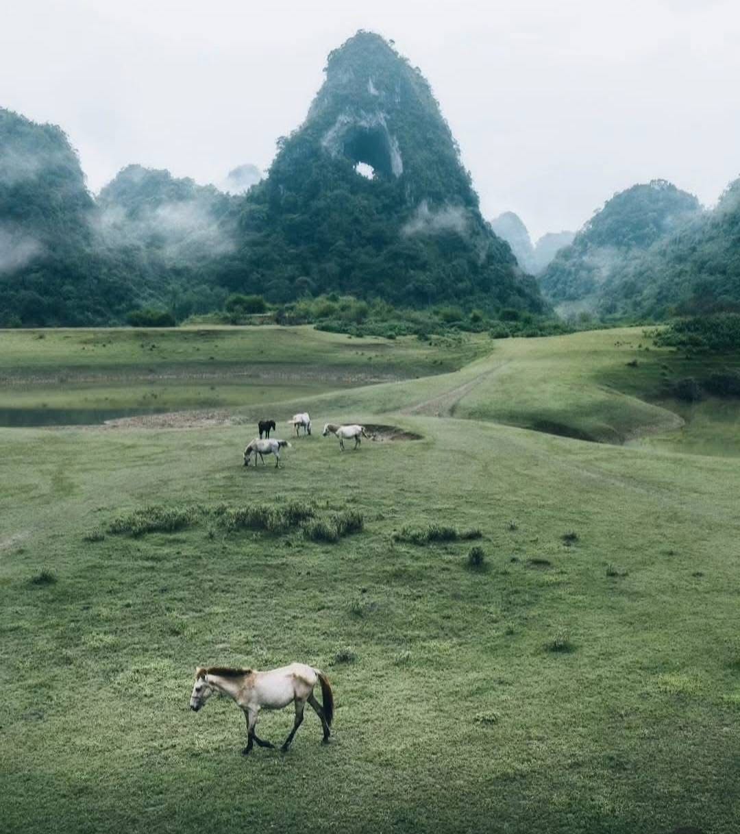 Scenic view of lush green fields and towering karst mountains in Vietnam, perfect for trekking and n.