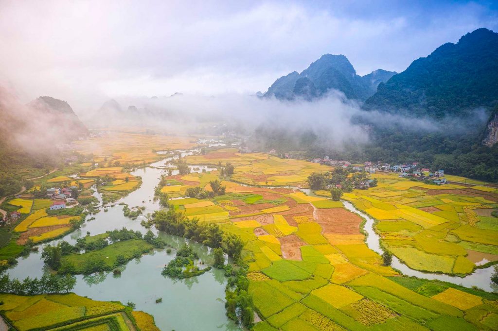 Scenic view of terraced rice fields and river in Ha Giang, Vietnam, perfect for trekking and explori.