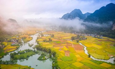 Scenic view of terraced rice fields and river in Ha Giang, Vietnam, perfect for trekking and explori.