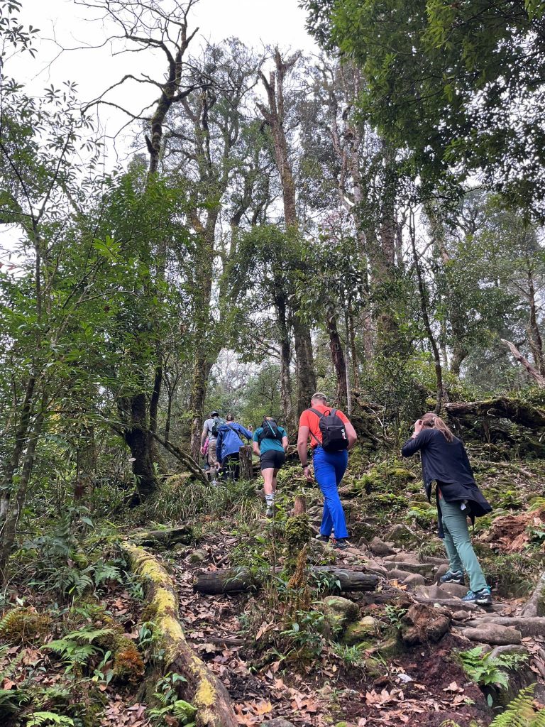 Sapa trekking adventure-scenic hike-viettrendtour-sapa.