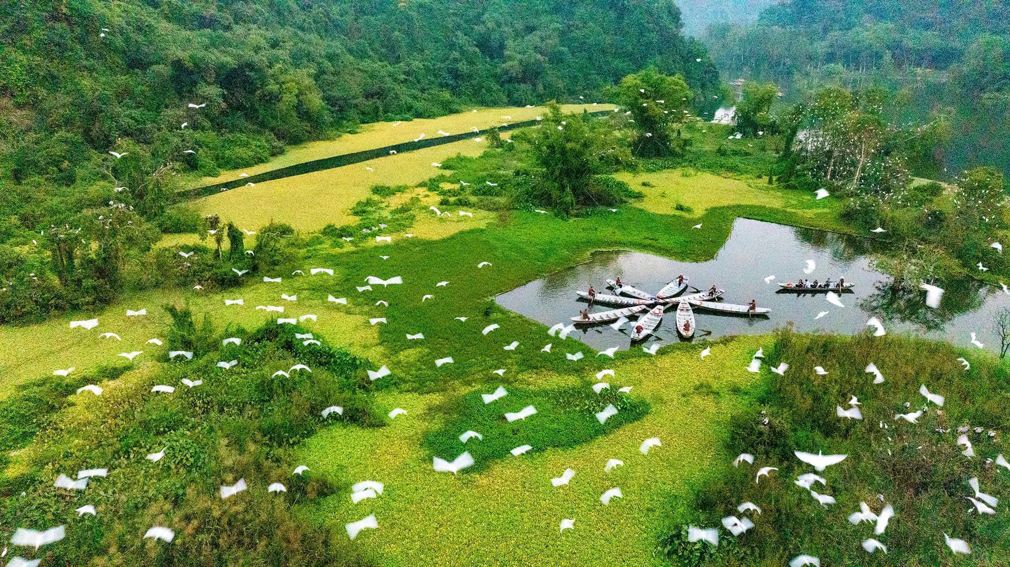 Scenic view of lush green rice fields and tranquil water bodies in Ninh Binh, perfect for trekking a.