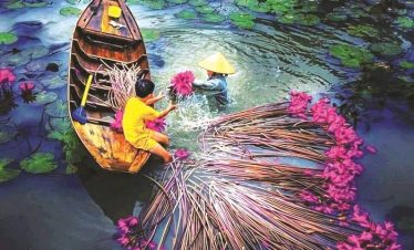 Floating lotus pond with children enjoying a peaceful moment in Vietnam.