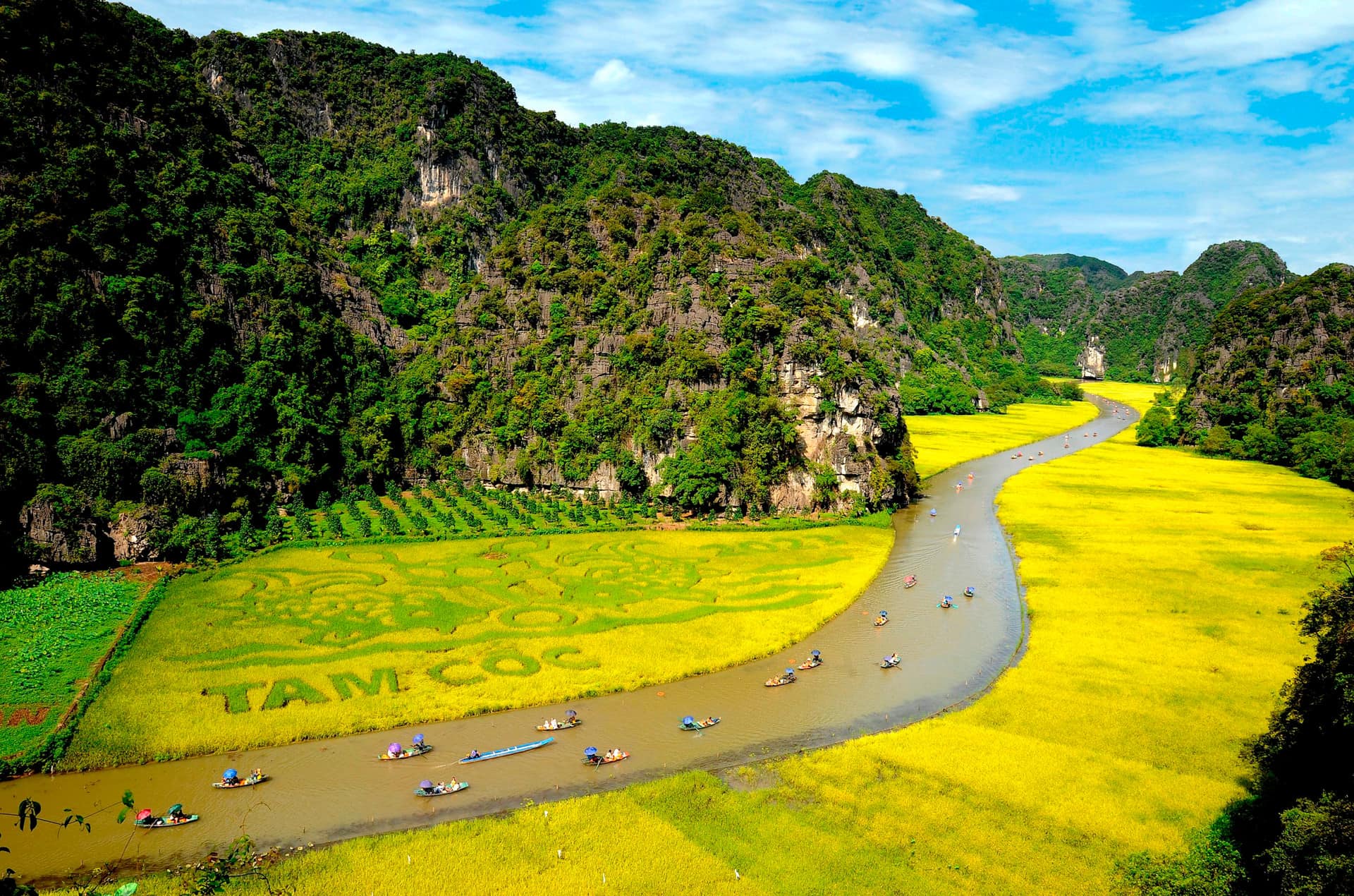 Ninh Binh Tours - Scenic view of lush green mountains and terraced rice fields in Sapa, perfect for trekking and explo.