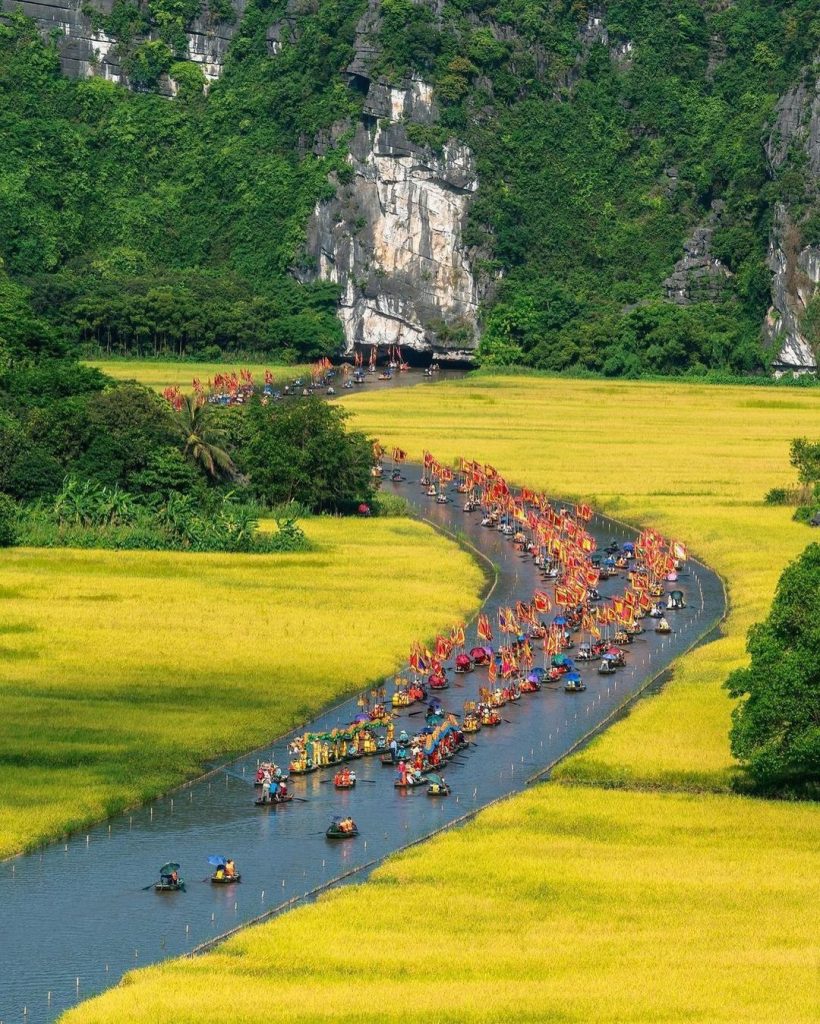 Lan Ha Bay scenic cruise with colorful boats and lush green surroundings.