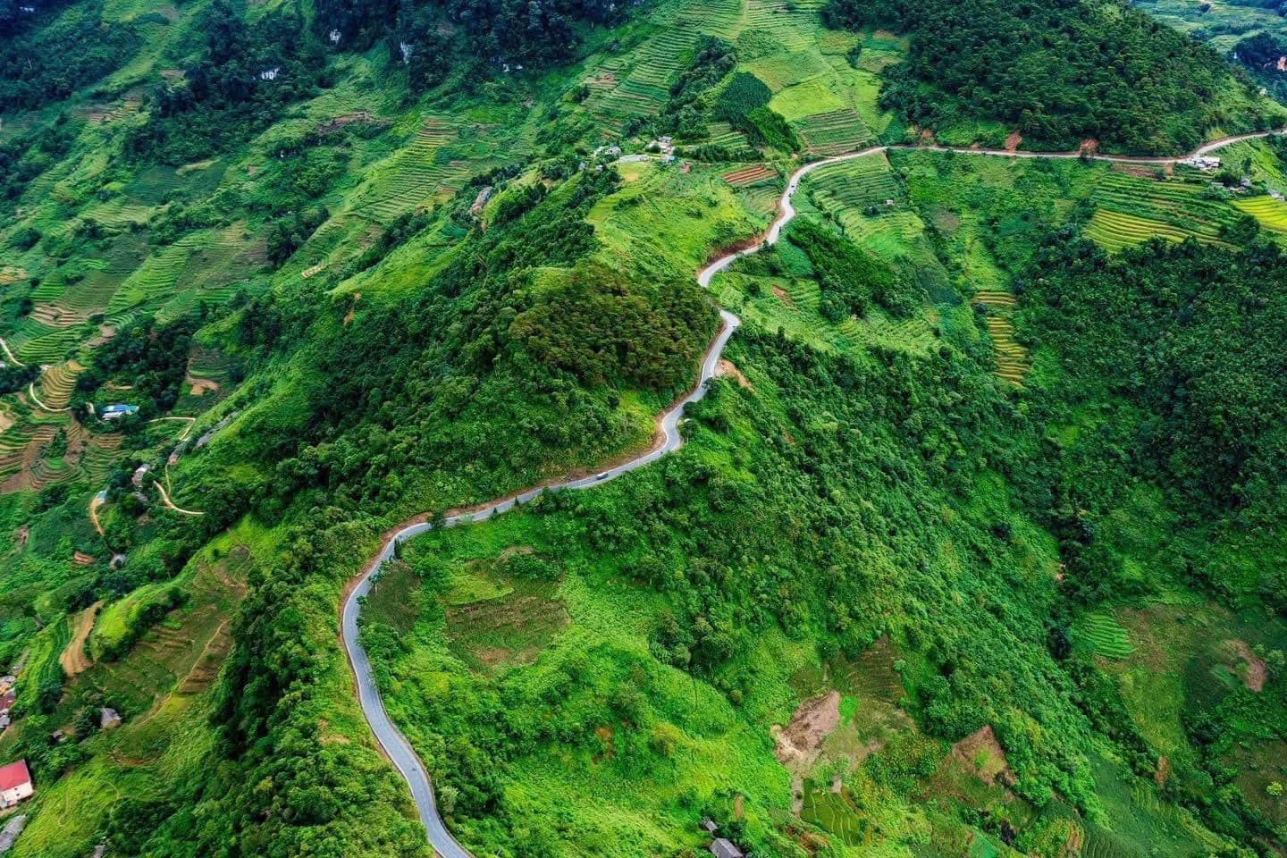 Aerial view of lush green terraced fields and winding mountain roads in Ha Giang, Vietnam, perfect f.