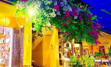 Scenic street scene with vibrant flowers, warm lighting, and traditional architecture in Hue or Hoi.