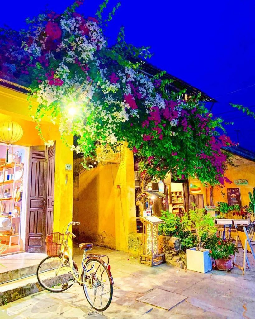 Scenic street scene with vibrant flowers, warm lighting, and traditional architecture in Hue or Hoi.
