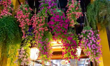 Vibrant hanging flowers and lanterns create a lively atmosphere in Hanoi's artistic district.