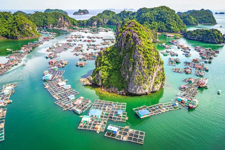 Stunning view of Halong Bay with floating villages and lush islands, perfect for a memorable cruise.
