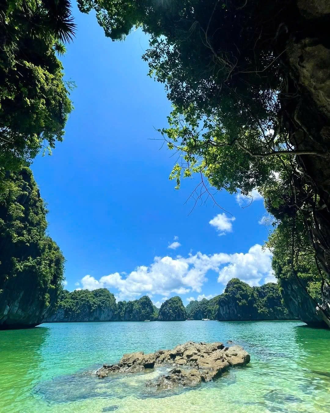 lan-ha-bay-dragon-back-cliff-viettrendtour