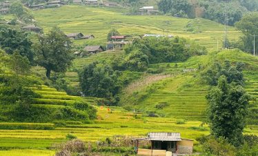 Scenic view of lush rice terraces in Sapa, perfect for trekking and exploring Vietnam's stunning mou.