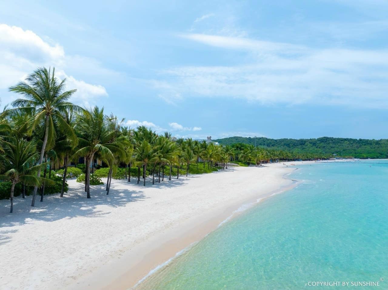 Stunning tropical beach scene in Ninh Binh featuring white sand, lush palm trees, and turquoise wate.