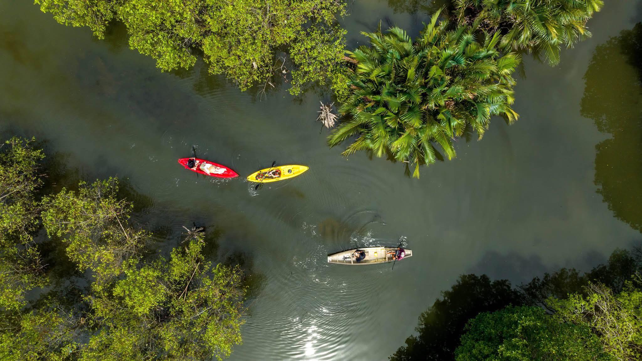 Aerial view of kayakers exploring the tranquil waters of Ha Long Bay surrounded by lush green island.