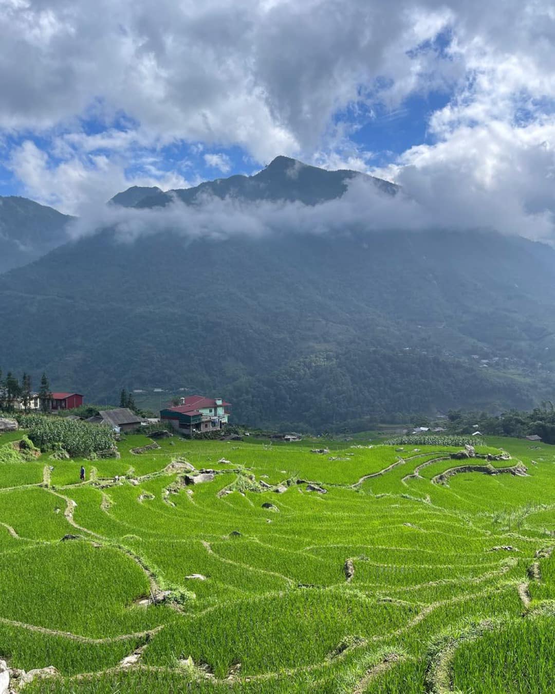 Stunning Sapa mountain landscape with lush green terraced fields and misty peaks.