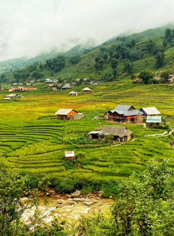 Beautiful mountain village in Sapa with lush green terraced fields and traditional houses, perfect f.