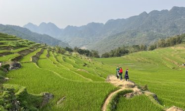 Scenic view of lush green terraced rice fields in Sapa, perfect for trekking and cultural exploratio.
