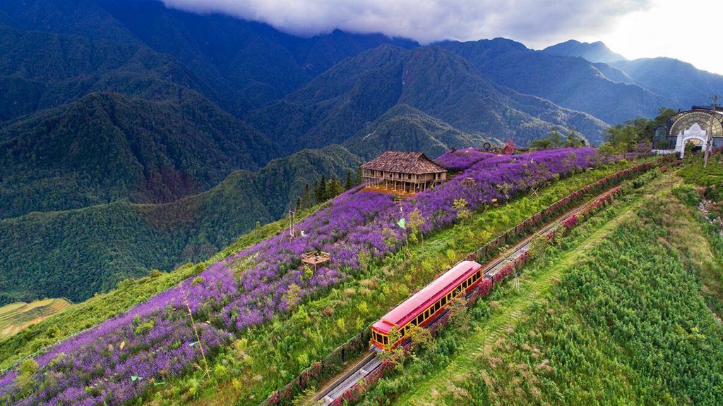 Vivid view of terraced fields and mountain scenery in Sapa with lush greenery and colorful flowers.