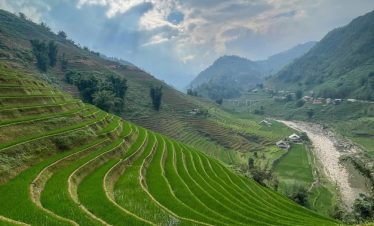 Vivid rice terraces in Sapa with lush green fields and mountain views, perfect for trekking and cult.