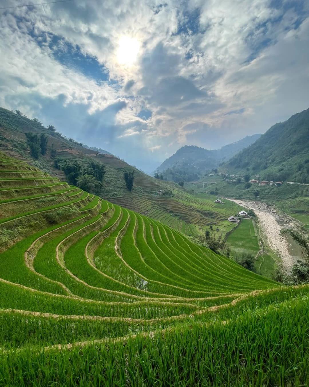 sapa-terraced-fields-morning-sunlight
