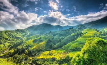 Scenic terraced rice fields in Sapa with lush mountains and vibrant greenery under a bright sky.