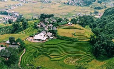 Stunning rice terraces in Sapa, Vietnam, perfect for trekking and exploring local culture.