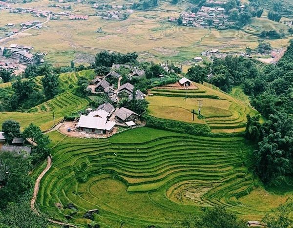 Stunning rice terraces in Sapa, Vietnam, perfect for trekking and exploring local culture.