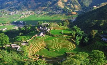 Vivid view of lush green terraced rice paddies in Sapa, perfect for trekking and exploring local cul.
