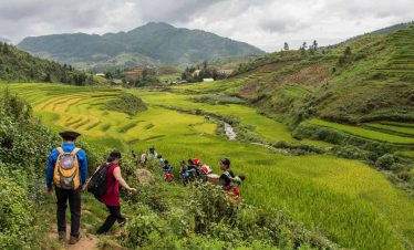 Vivid scene of travelers trekking through vibrant rice paddies in Sapa, surrounded by stunning mount.