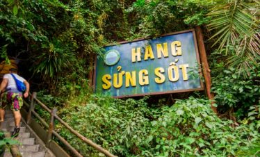Stunning view of lush green Sapa jungle with trekking trail and vibrant signboard.