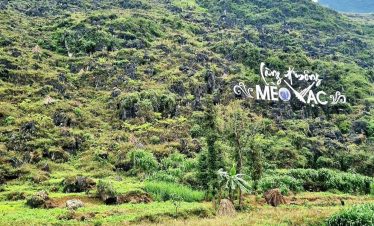 Scenic mountain view with vibrant green terraced fields and lush vegetation in Vietnam, perfect for.