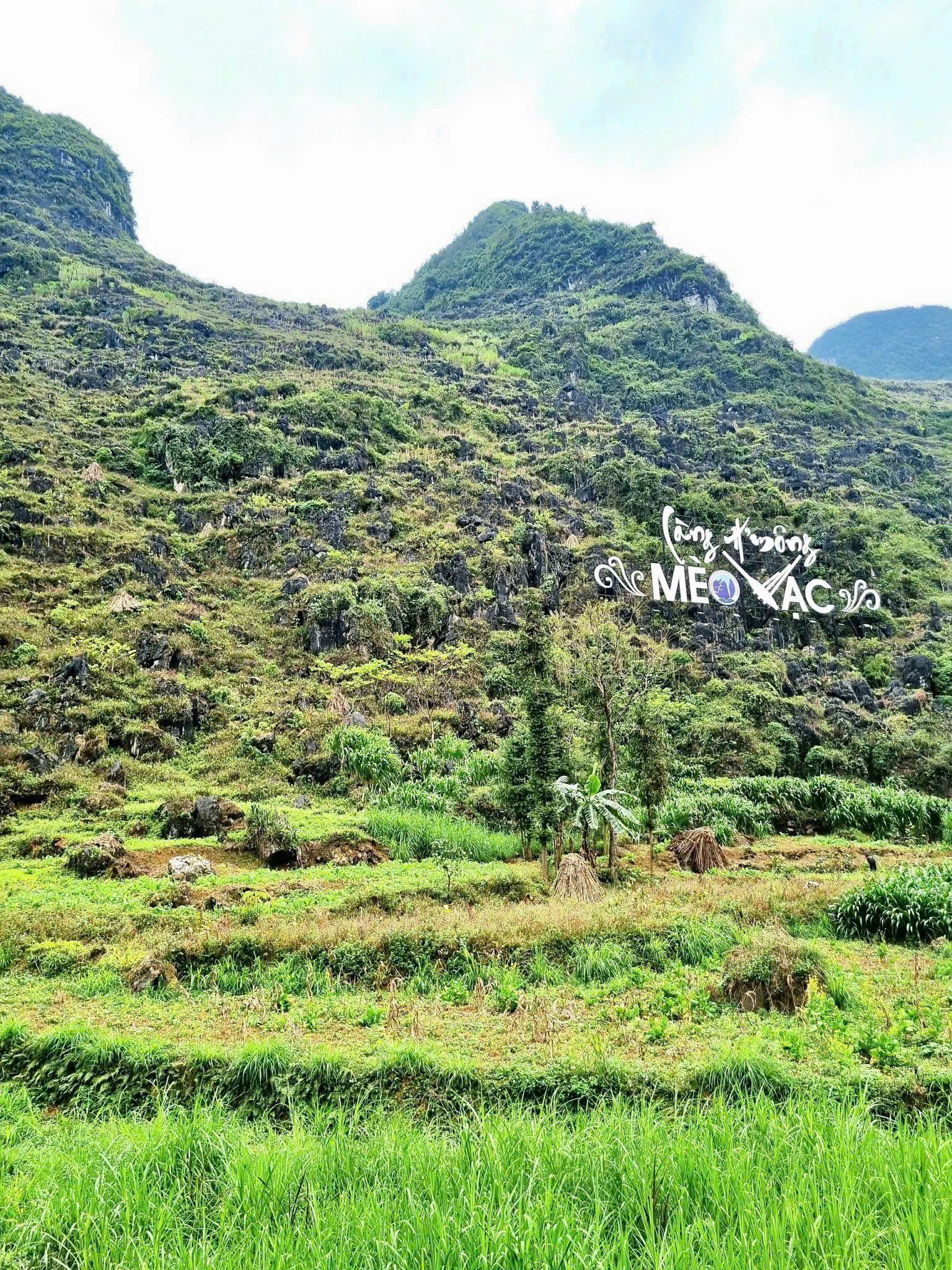 Scenic mountain view with vibrant green terraced fields and lush vegetation in Vietnam, perfect for.