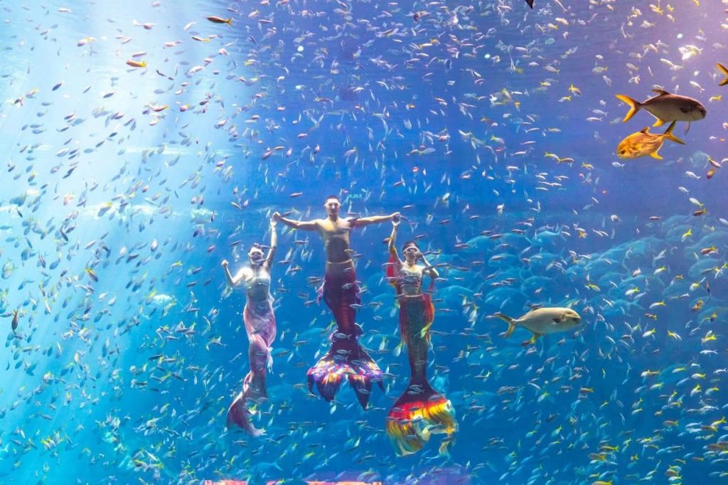 Vivid underwater scene of snorkeling in Halong Bay with colorful fish and clear blue waters.
