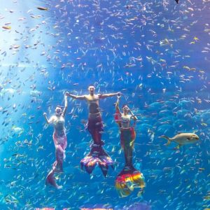 phu-quoc-aquarium-mermaid-show-underwater-performance-viettrendtour