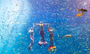 Vivid underwater scene of snorkeling in Halong Bay with colorful fish and clear blue waters.