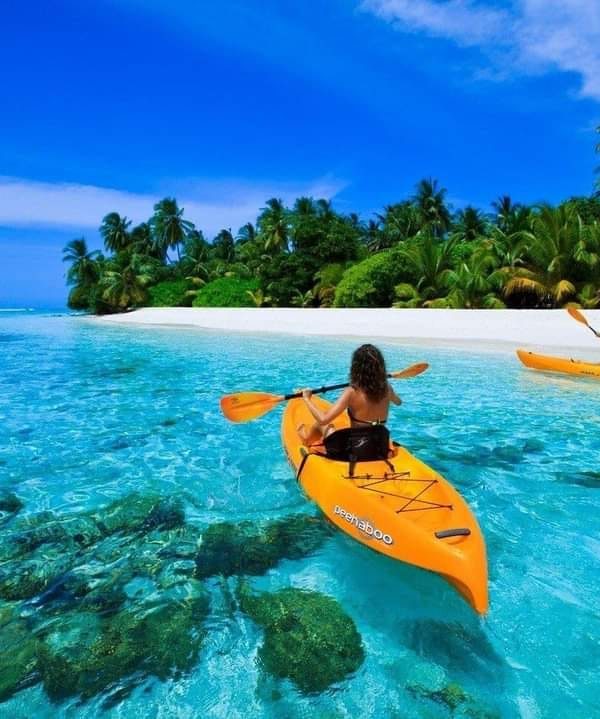 Kayakers exploring crystal-clear waters and vibrant coral reefs in Halong Bay, surrounded by lush is.