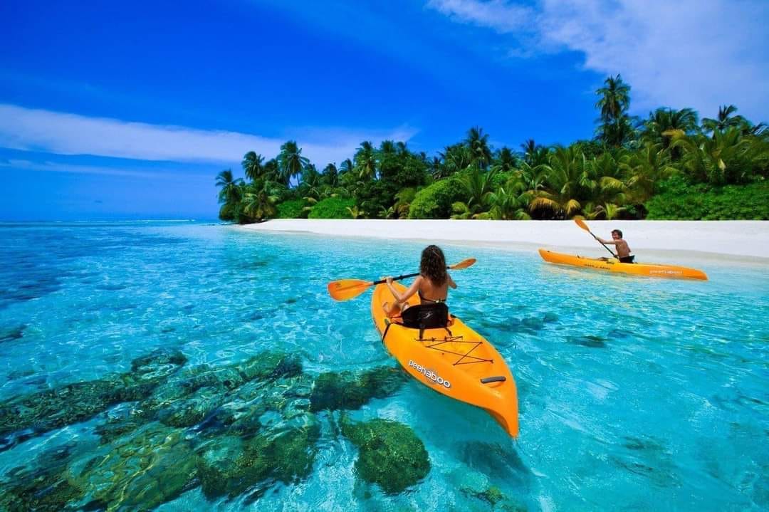 Kayakers exploring crystal-clear waters and vibrant coral reefs in Halong Bay, surrounded by lush is.