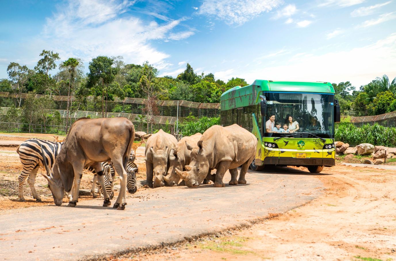 Wildlife safari with elephants and zebras near a green tour bus in a lush, open landscape.