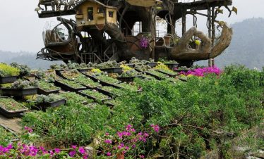 Colorful treehouse complex with whimsical design in lush greenery, perfect for adventure and cultura.