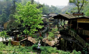 Scenic trekking through lush Vietnamese village landscapes with vibrant greenery and traditional woo.