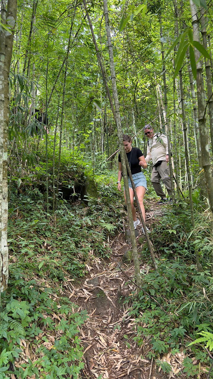 Hiking scene in lush Sapa forest with two travelers exploring nature trails.