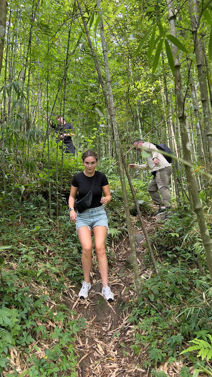 Woman trekking through lush Sapa forest with guides and fellow travelers, scenic nature adventure.